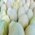 Import Premium Fresh Brazilian Melons Including Dino Melon, Piel de Sapo Melon, Yellow Melon, Galia Melon, Italian Cantaloupe. from Brazil