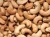 Import Tiger nut and Cashew nuts from Nigeria