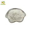 Food Supplement L-Theanine 3081-61-6 Theanine