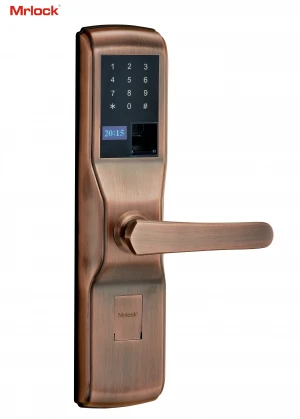 Mrlock 9895 Entrance Doors Smart Lock