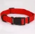 Import Network wire dog collar pet supplies from China