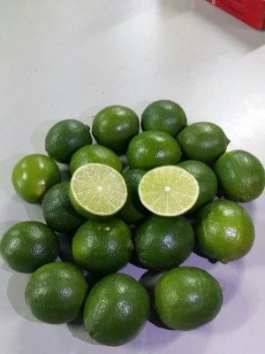 Lemon without seed from Vietnam