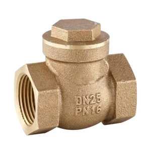 bronze swing check valve from China