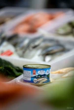 Premium Quality Canned Pilchard in Savory Sauce Ready to Eat