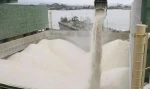 Brazil - Sugar Icumsa 45