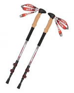 2 Sections Carbon Nordic Walking Pole