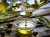 Import Edible Oil from USA