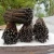 Import Vanilla Beans-Madagascar Black vanilla ,Vanilla Bean, Wholesale from Germany