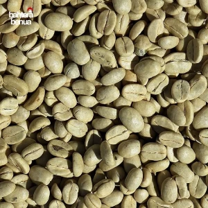 Arabica Green Coffee Bean Cheap