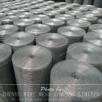 Hot dipped galvanized welded wire mesh