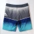 Import Men's Shorts, Beach Shorts, Beach wear, Pants, Customized Shorts from China