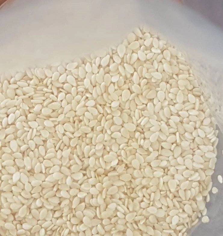 Buy Hulled White Sesame Seeds Best Price from Wintercorn Import
