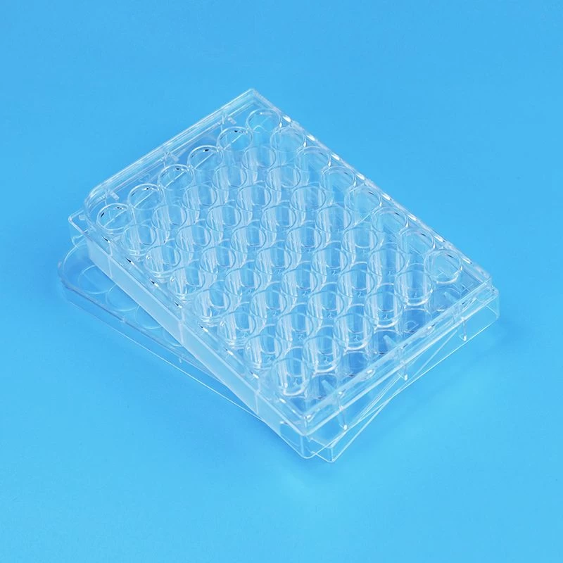 Buy Sterile 48 Well Cell Culture Plate Surface Tc Treated Flat Bottom from Company Anne Tan