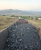 Import Coal from South Africa