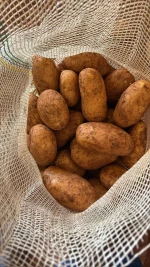 potato fresh from Brazil