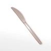 Disposable Small Plastic Knife PP Food Grade Knife
