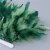 Import 10-15cm Turkey Deep Green And Light Green Feather For Sale Marabou Feather Fringe Trim For Jewelry Crafts Costumes Sewing from China
