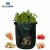 Import 10 Gallon Fabric Potato Bags Grow Pots with Handle,2 Pack Per Set from China