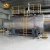 Import 10 tph WNS gas-fired boiler project for pharmaceutical industry from China