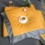 Import 100% cotton king summer quilt goose down comforter from China