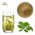 Import 100% Natural for Weight loss 98% polyphenols green tea extract from China