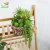 Import 10pcs Set Green Lotus Hanging Vine Succulent Plants Indoor Balcony Decoration Ornaments from China
