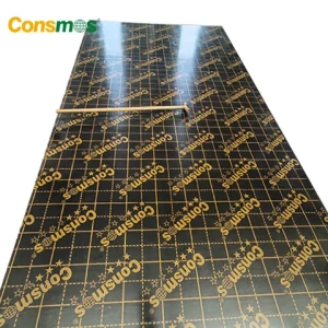 1220*2440mm 9mm 12mm 15mm 18mm Hardwood Film Faced Plywood Manufacturer