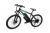 Import 128th autumn Canton Fair online Classic Electric Bicycle 250W 350W Mountain Bike with Lithium Battery 36V 48V Ebike Europe from China