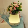 2 in 1 LED Bedside Table Lamp With Decorative Vase Holder Dimmable Table Lamp