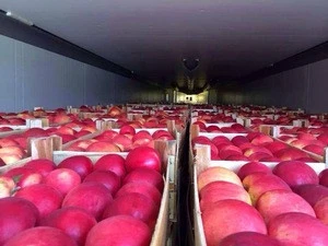 2017 New Fresh Fruits Red FUJI Apples