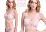2017 Newest fashion slik Wire Free Lace Comfort sexy sport bra , hot sale good quality ladies sport bra with padded