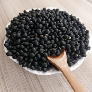2018 Chinese Wholesale big black bean