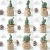 Import 2020 Amazon Hot Selling Pinrui Nordic cactus Artificial Succulent Plants from China