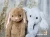 Import 2020 Hot Sell  Animal Plush Toy  Baby Stuffed Animal Plush Sensory Fidget Stress Relief Toy Weighted Toy For Sensory Kid from China
