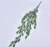 Import 2020 new design Multi Types Artificial Wall Hanging Pinecone Ornamental Plants from China