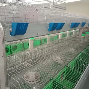 2021 Automatic commercial hot dip galvanized material rabbit cage farm equipment