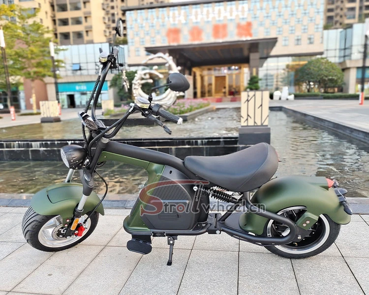 2021 CE/EEC/COC Certificate 60V 20AH Lithium Battery 2000W Motor Electric Scooter adult Citycoco large electric motorcycles
