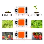 20W 30W 50W LED COB Chip Plant Light Full Spectrum Input Grow Lamp For Indoor Plant Seedling Grow and Flower