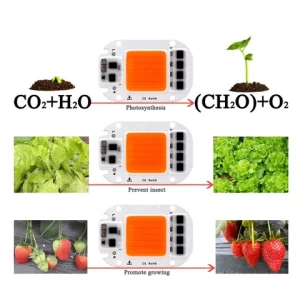 20W 30W 50W LED COB Chip Plant Light Full Spectrum Input Grow Lamp For Indoor Plant Seedling Grow and Flower