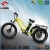 Import 24 inch adult 3-wheel ebike/electric tricycle with front suspension from China