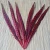 30-35cm dyed red pheasant feather for carnival decoration