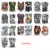 Import 34*48cm Large Fashion Cool Body Full Back Temporary Tattoo Stickers/Transfer Tattoos from China