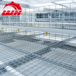 4 tier Ladder Type Baby Chicken Poultry Nest