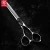 Import 5.5 inch XB06-55Z/V new fashion design beauty barber scissors flat scissors tooth Hair scissors from China
