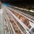 Import A Type 500 1000 Birds Capacity Complete Chicken Layer Cages With Drinker And Feeder from China
