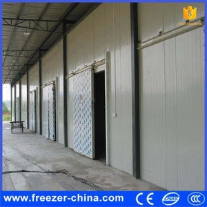 Accept customized walk in freezer storage cold room
