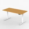 Adjustable Electric Ergonomic Furniture Modern Office Desk