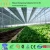 Import agricultural greenhouses soilless growing media rock wool for tomato from China