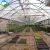 Import Agricultural low cost single span plastic film greenhouse from China