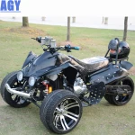 AGY take a deeper look 250cc gas powered trikes for adults